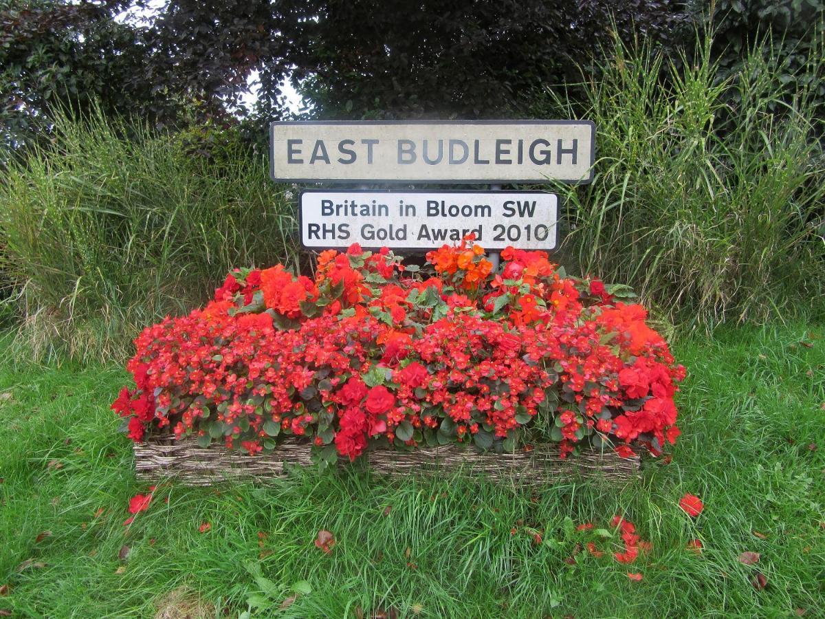 Bayeux Cottage East Budleigh Exterior photo